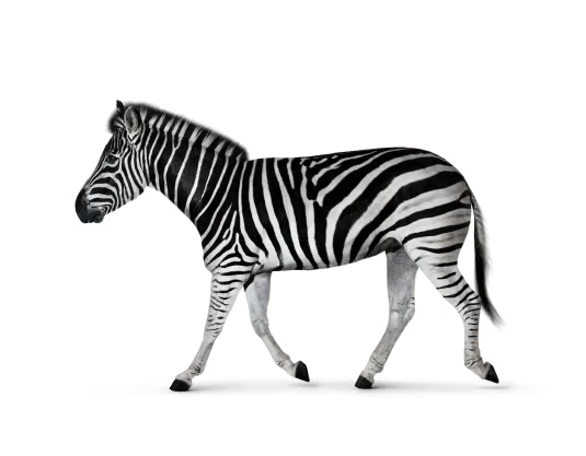Investec logo